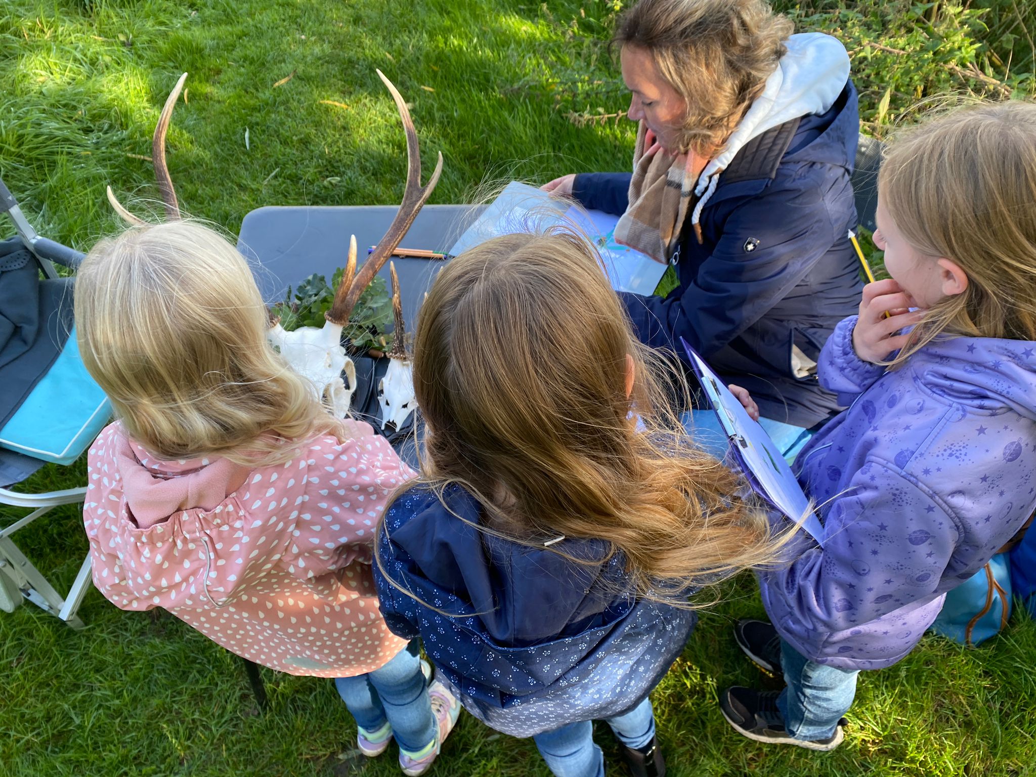 Mehr über den Artikel erfahren Waldjugendspiele der Grundschule Schwarmstedt